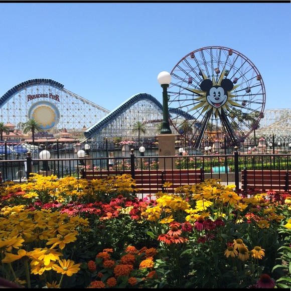 Meet your Posher, Serrena - Picture 1 of 1